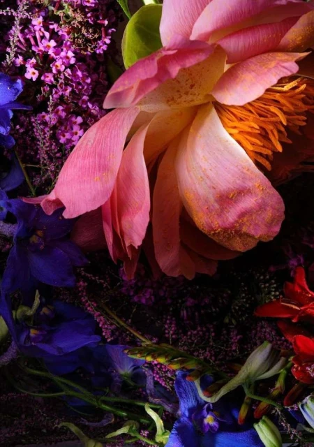 A close-up shot of a vibrant floral arrangement with a large pink flower as a focal point, set against a backdrop of purple and blue blooms.