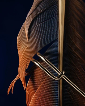 Close-up macro shot of a brown and blue feather pierced by a polished silver tuning fork against a dark background.