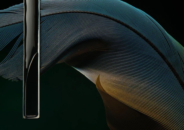 Macro view of iridescent blue and bronze bird feather barbs intersected by a vertical glossy black bar against a dark background