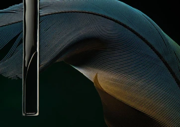 Macro view of iridescent blue and bronze bird feather barbs intersected by a vertical glossy black bar against a dark background