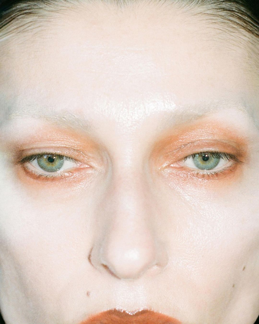 Close-up portrait of a person with light skin, bleached eyebrows, and rust-colored eyeshadow and lipstick against a neutral background.