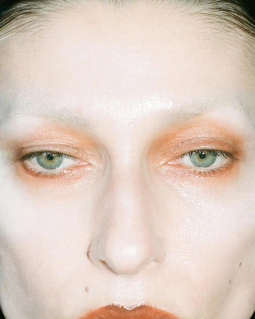 Close-up portrait of a person with light skin, bleached eyebrows, and rust-colored eyeshadow and lipstick against a neutral background.