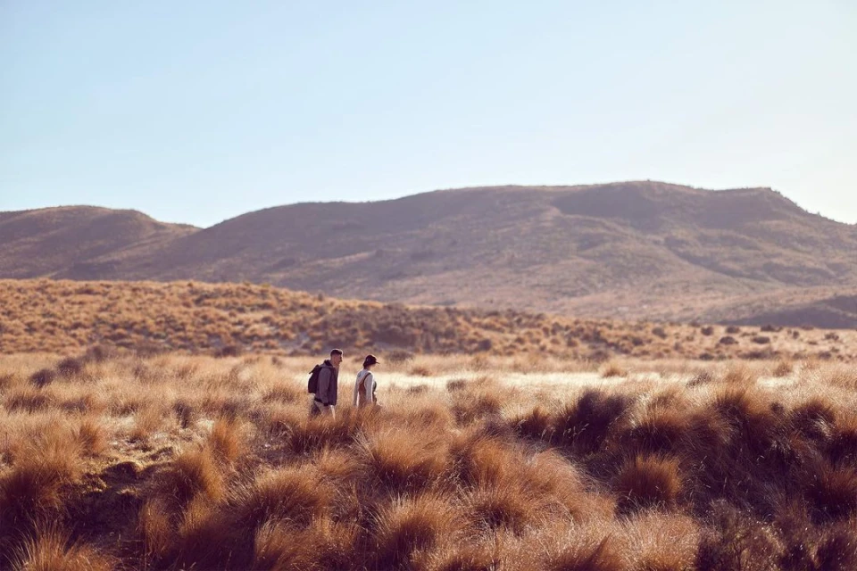 Couple hikes through a golden grassland, mountain range in the background, beneath a clear sky. Natural light illuminates the landscape.