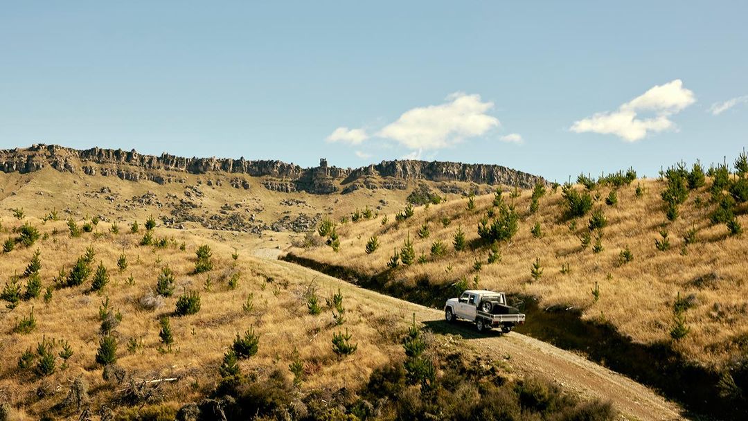 A white pick-up truck drives on a dirt road through a grassy, hilly landscape beneath a blue sky dotted with scattered trees and shrubs.