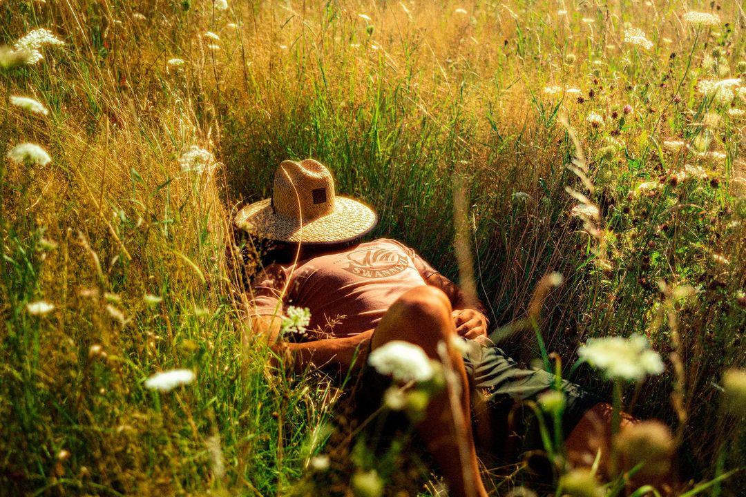 Person in hat relaxes in meadow of tall wild grass with white flowers in warm sunlight, outdoor leisure, nature scene.