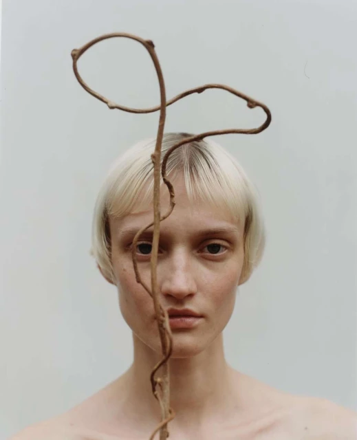 Denis Boulze