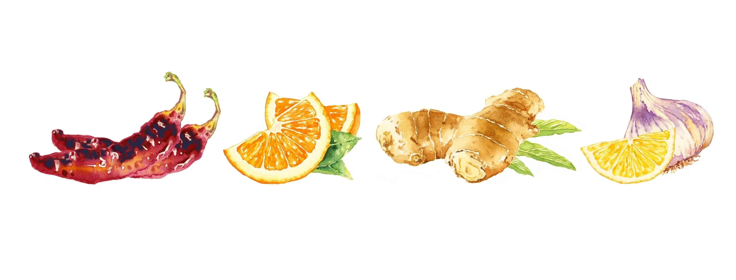 Watercolor art featuring vibrant chili peppers, orange slices with green leaves, ginger root, and garlic with lemon wedge.
