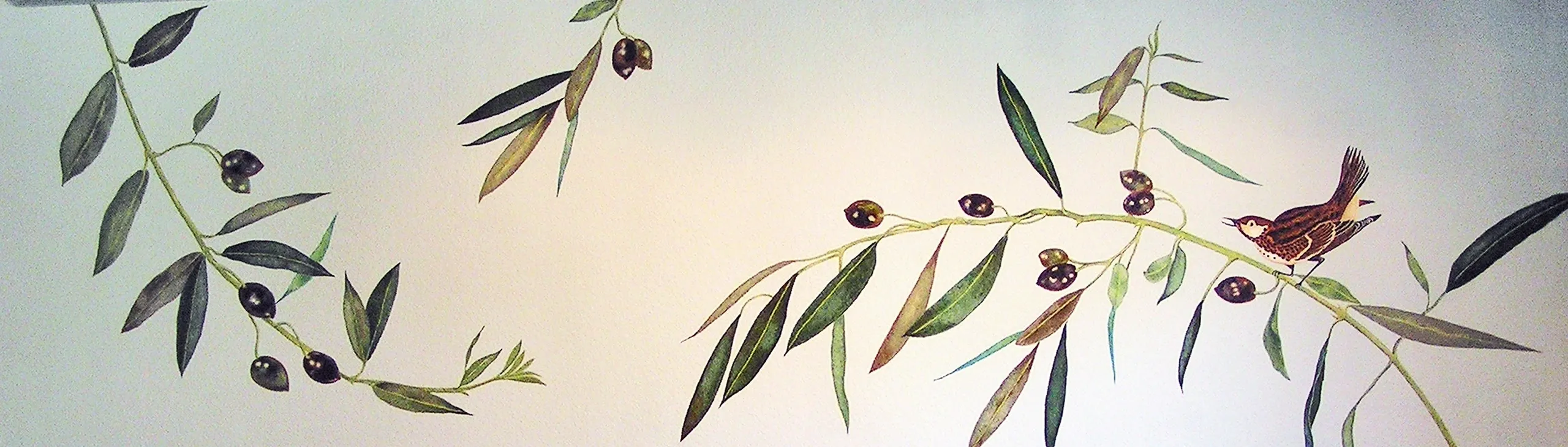 Illustration of a bird perched on an olive branch with green leaves and black olives against a pale backdrop.