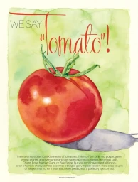 Watercolor illustration of a ripe red tomato resting on a metal knife blade with green watercolor background and editorial text.