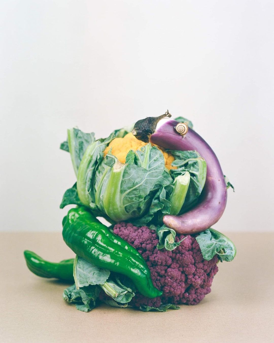 Still life composition featuring purple and yellow cauliflower, green bell peppers, eggplant, cabbage, and a snail on a tan surface.