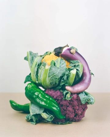 Still life composition featuring purple and yellow cauliflower, green bell peppers, eggplant, cabbage, and a snail on a tan surface.