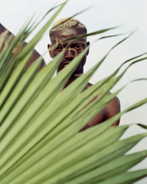 Eye-level portrait of a dark-skinned adult male with short, light hair, partially obscured by a green palm leaf in outdoor setting.