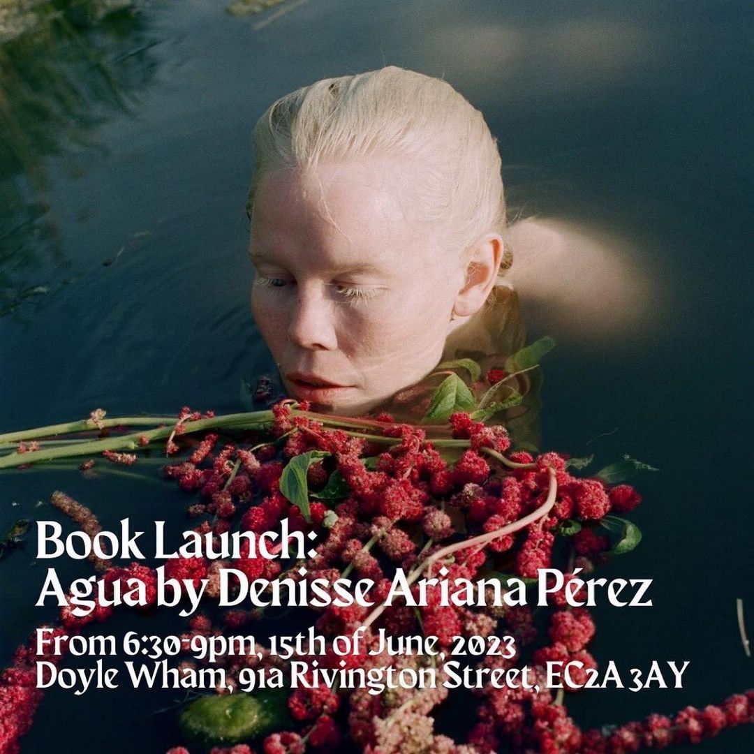 Striking portrait of a woman partially submerged in dark water, adorned with vibrant red and green flowers around her neck, artful presentation.