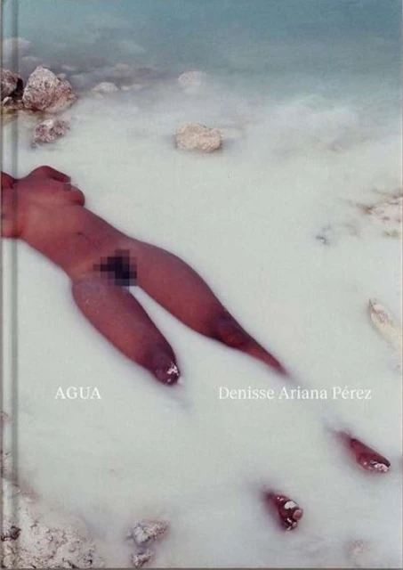 Nude female figure emerges from pale water, with rocks and text overlay, in an artistic photo promoting water.