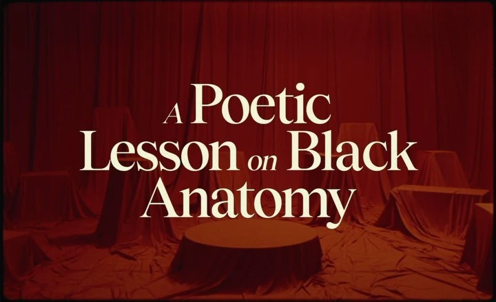 Promotional graphic with text reading 'A Poetic Lesson on Black Anatomy' in a warm, dark, reddish-brown setting with draped fabric.