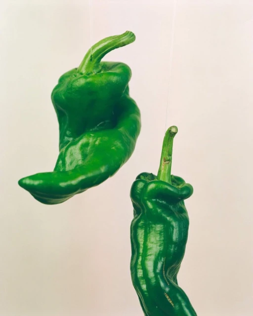 Two fresh green peppers hanging from strings against a plain background, showcasing their unique shapes and vibrant color.