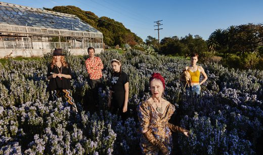 Group of five people standing in a field with lavender and a greenhouse in the background, bathed in soft sunlight.