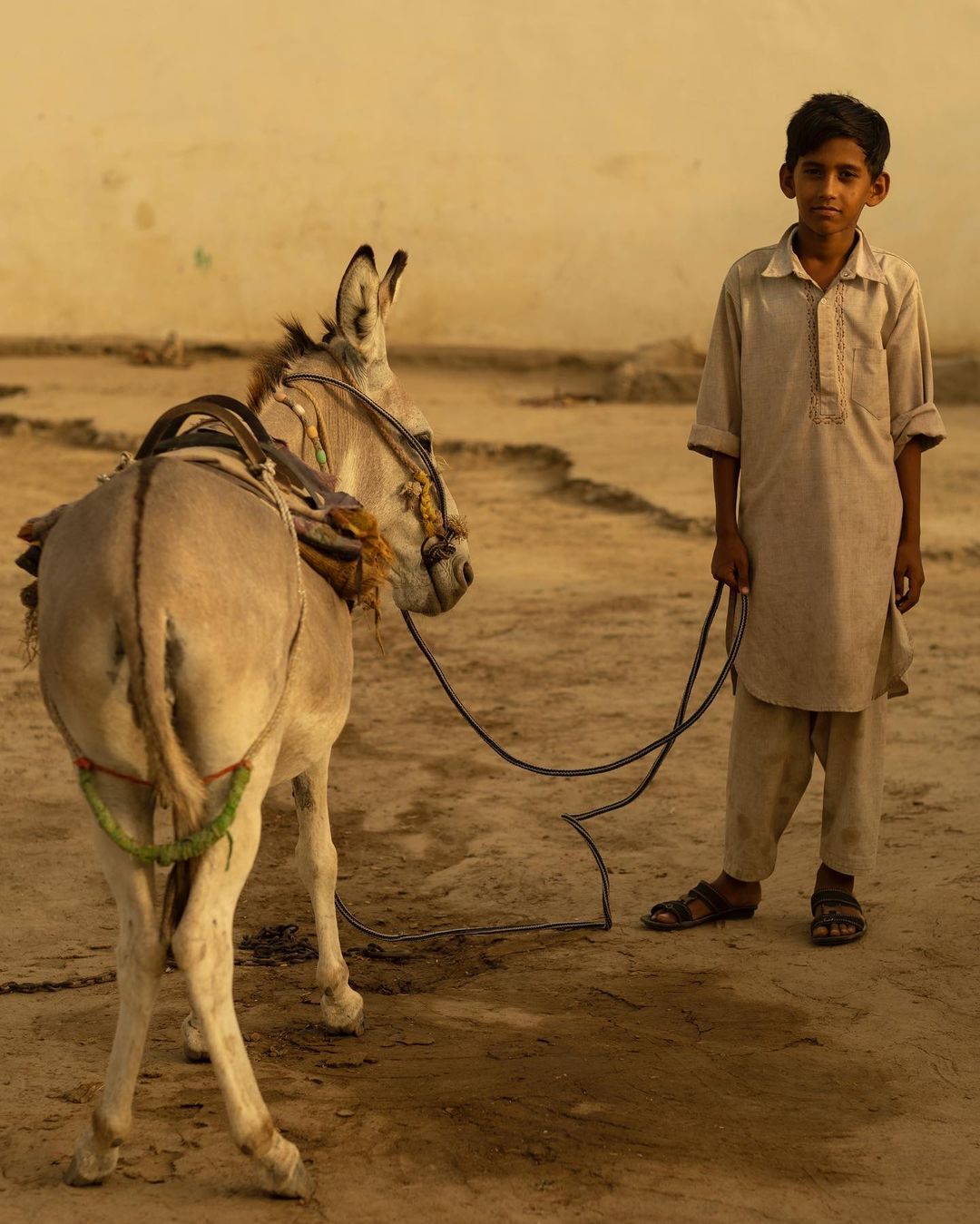 Young boy stands with his donkey in a rural, sunlit outdoor setting. The boy is holding the donkey's rope, showing a connection.