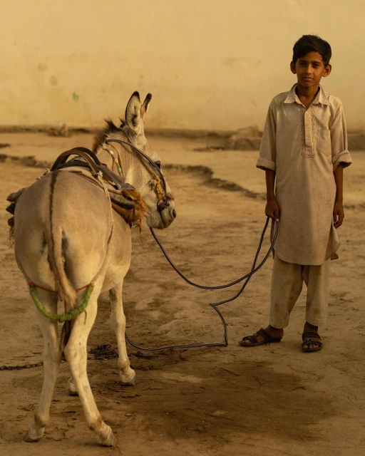 Young boy stands with his donkey in a rural, sunlit outdoor setting. The boy is holding the donkey's rope, showing a connection.