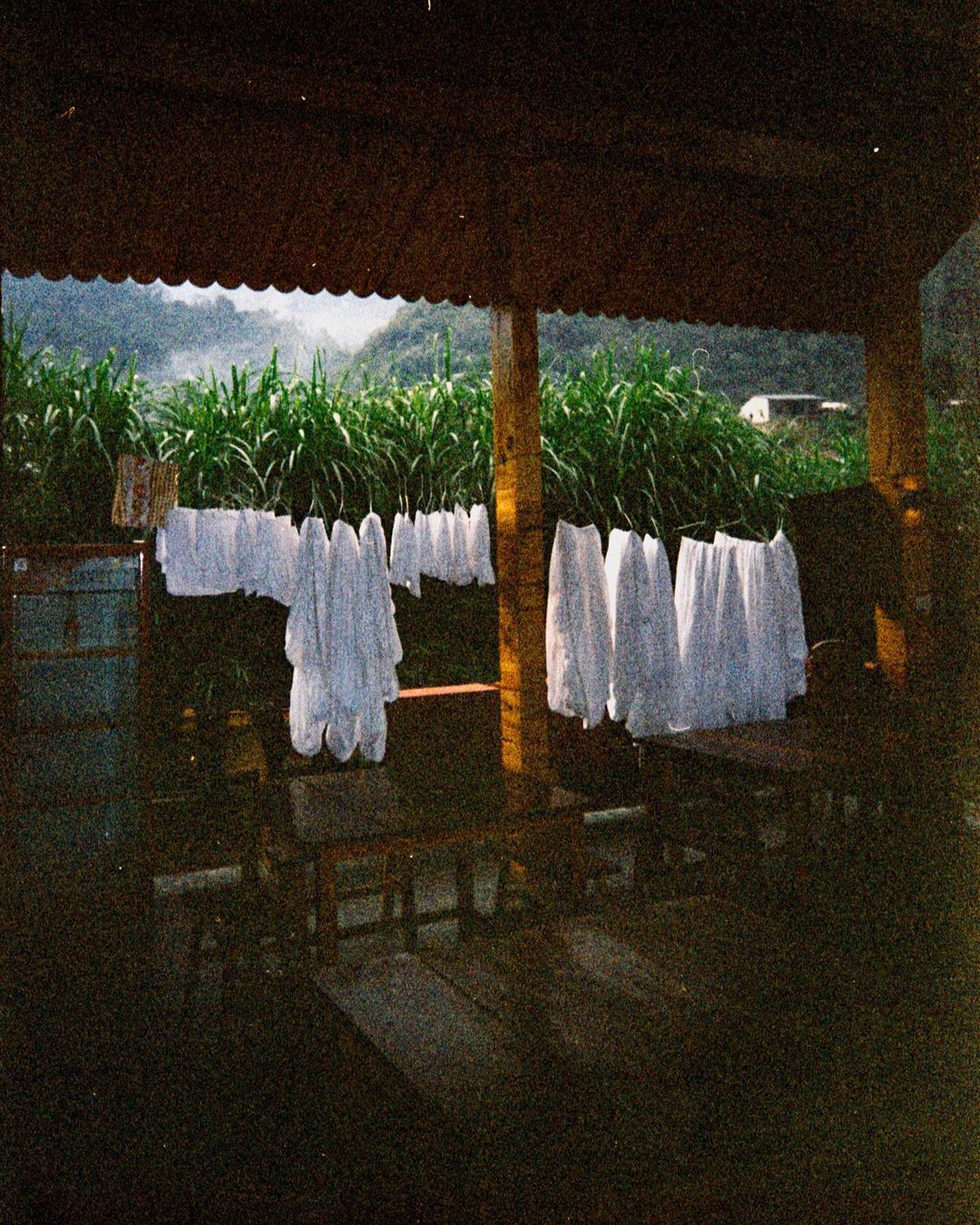 Hanging laundry on a clothesline under a wooden structure with a lush green field and distant hills in the background.