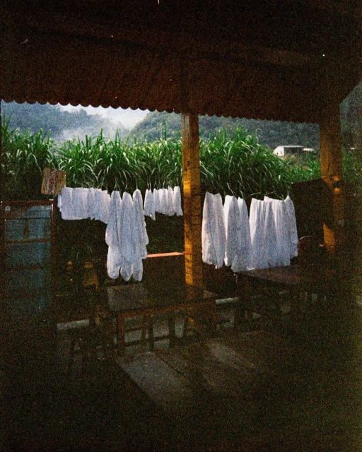 Hanging laundry on a clothesline under a wooden structure with a lush green field and distant hills in the background.
