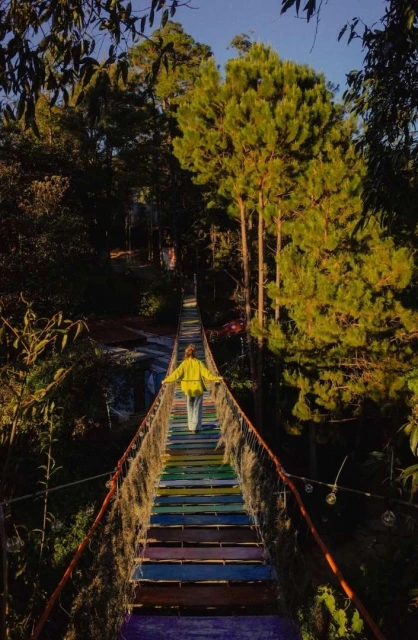 A person walks across a vibrant, multicolored suspension bridge surrounded by lush green trees under a sunny, clear sky, creating a serene scene.