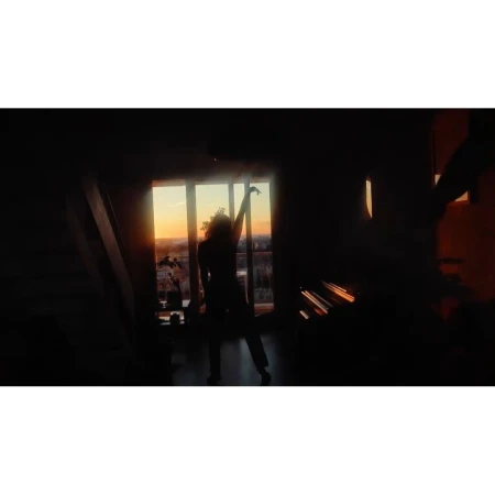 Silhouette of a person standing against a sunset window in an apartment overlooking a city horizon.