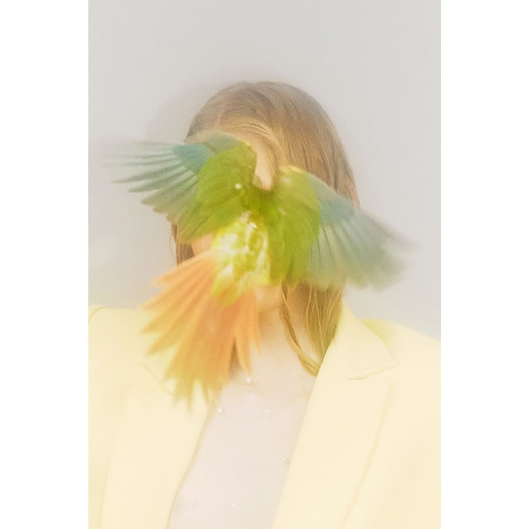 Woman in yellow blazer with a parrot in flight obscuring her face, creating a surreal and vibrant avian-human fusion.