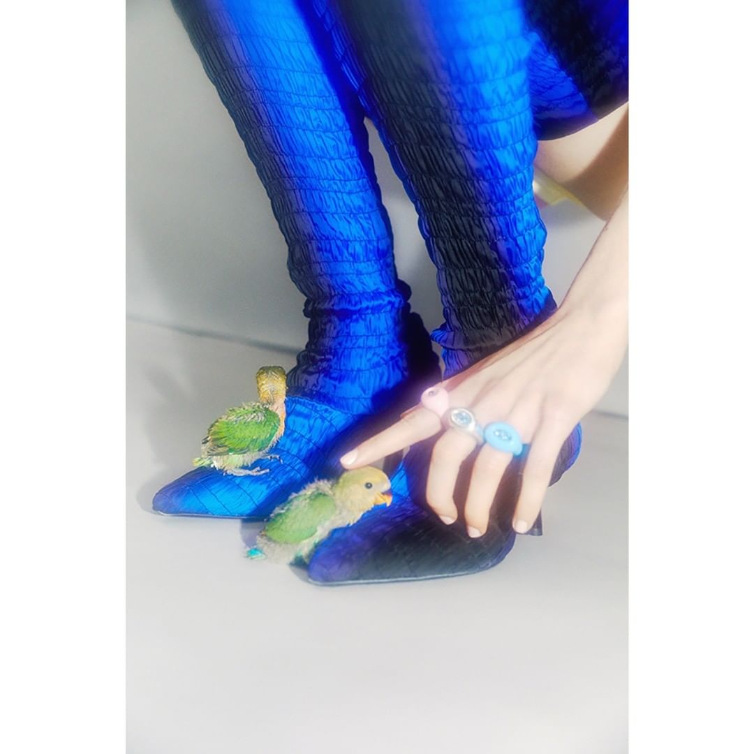Close-up of blue textured boots with lovebirds and woman's hand with statement rings against a white backdrop in studio lighting.