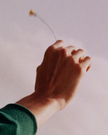 Close-up of a hand holding a small delicate flower against a pale pinkish background, captured with a grainy film texture.