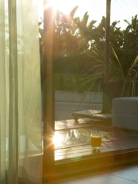Glass of orange juice on a wooden surface with bright sunlight shining through a curtain and tropical trees in the background.