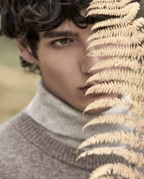 Close-up portrait of a young man with dark curly hair wearing a grey turtleneck sweater, partially obscured by a dried fern leaf.