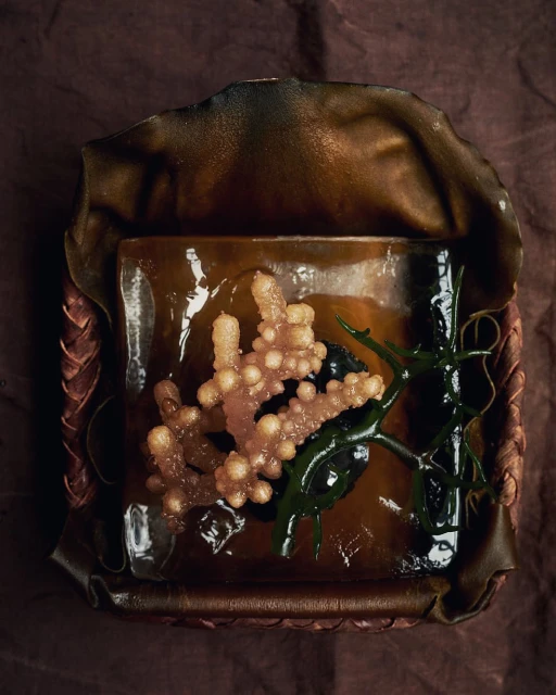 Overhead shot of coral on a square, textured plate, set against a brown backdrop. The lighting emphasizes the textures and details.