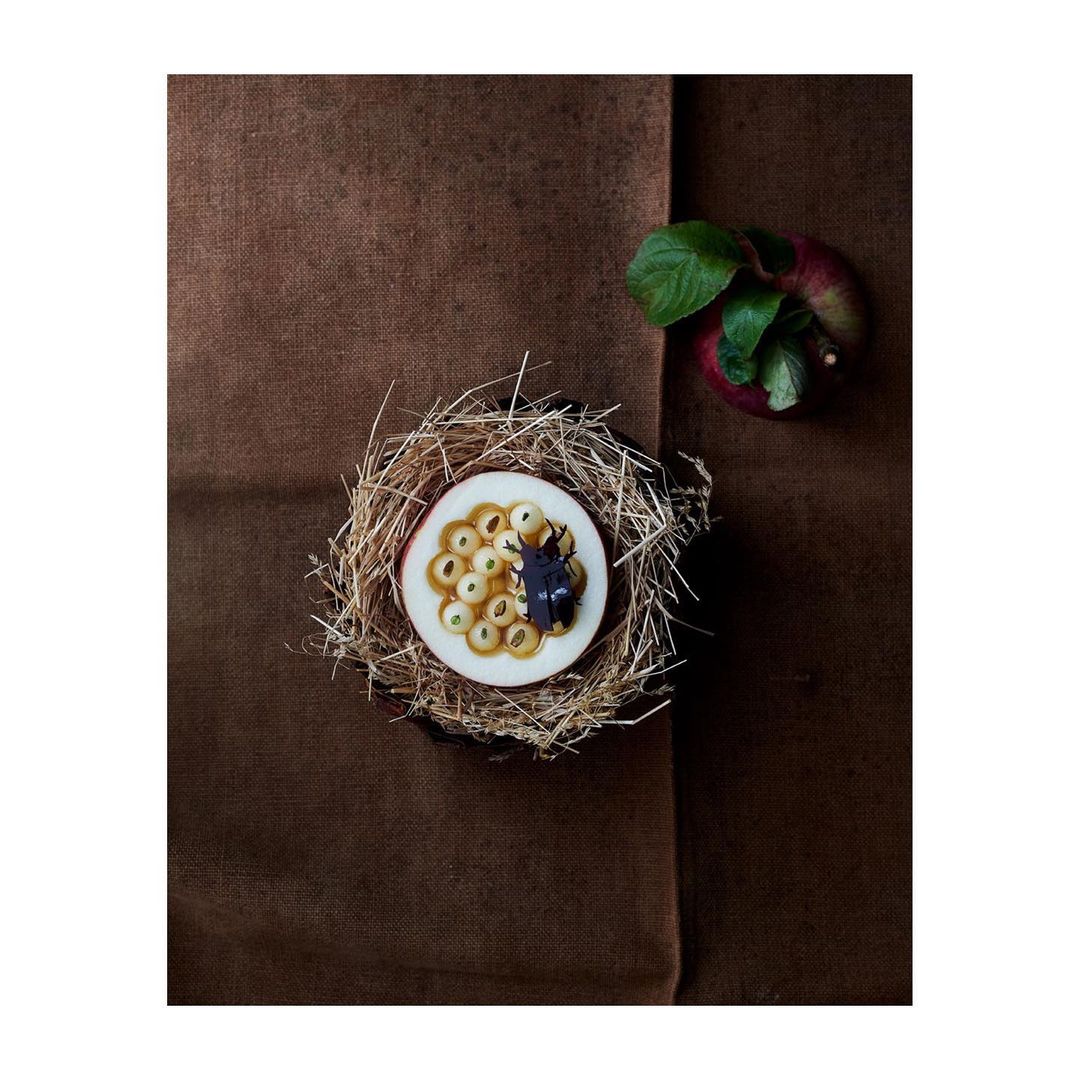 Overhead shot of passion fruit and an apple on a brown cloth, showcasing a fruit arrangement with natural light and earthy tones.