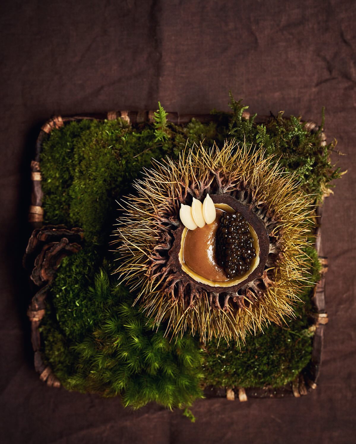 Overhead shot of an artistic food dish featuring caviar, almond slivers, and sauce inside a spiky shell placed on moss in a square frame.
