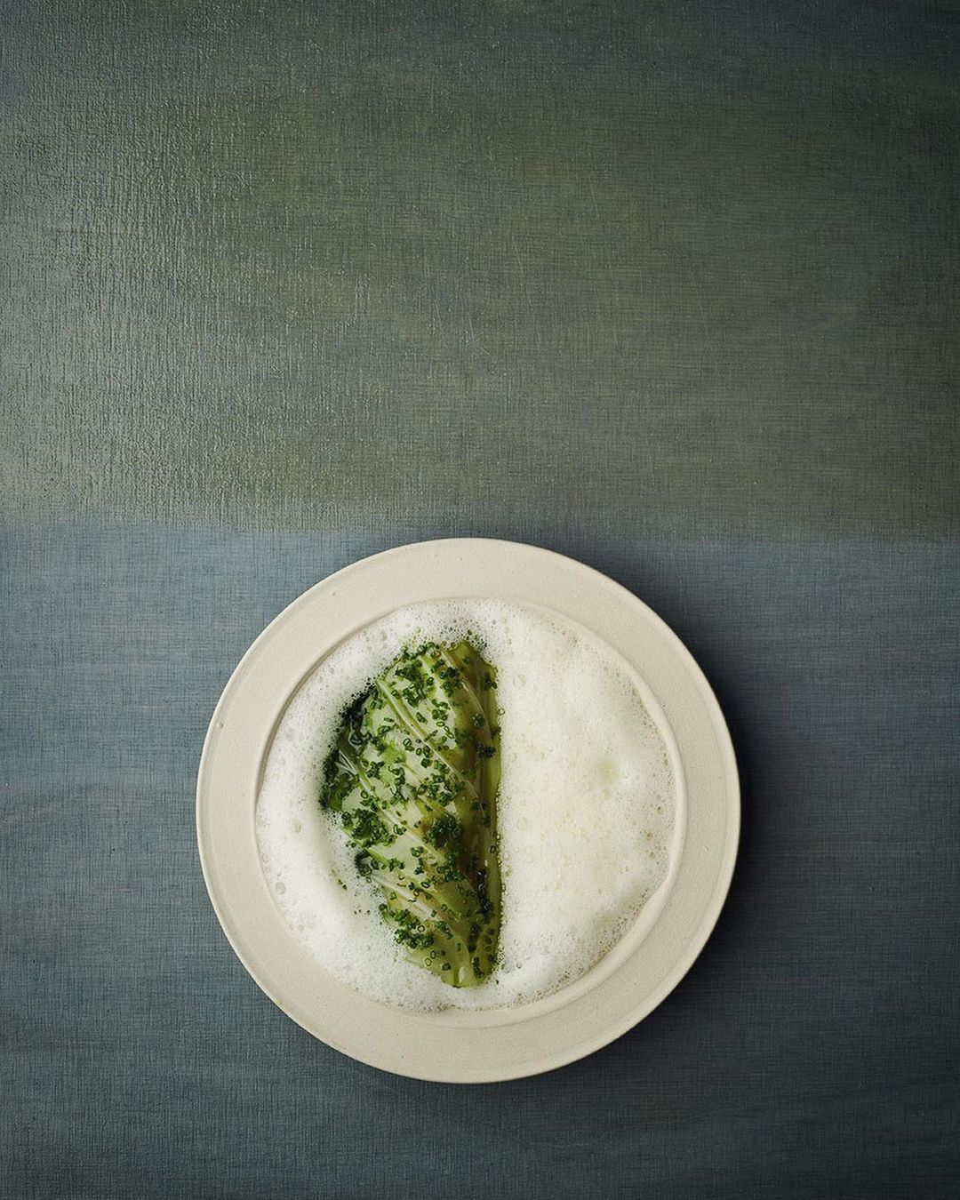 Overhead shot of a white plate with a single green leaf covered in white foam against a color-blocked backdrop of green and grey.