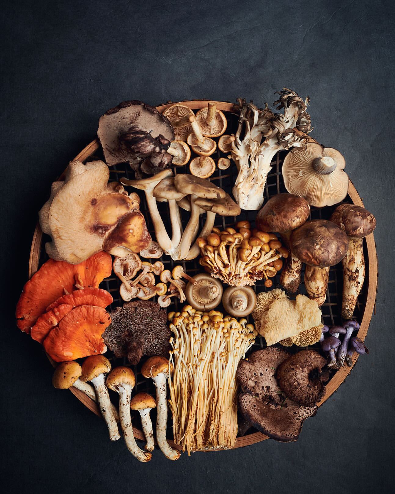 Overhead shot of wooden platter holding assorted raw mushrooms: maitake, enoki, shiitake, oyster, brown beech, lobster, and more.
