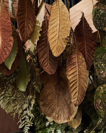 Dried leaves hang in an indoor setting, featuring brown and tan hues with some green foliage visible in the background.