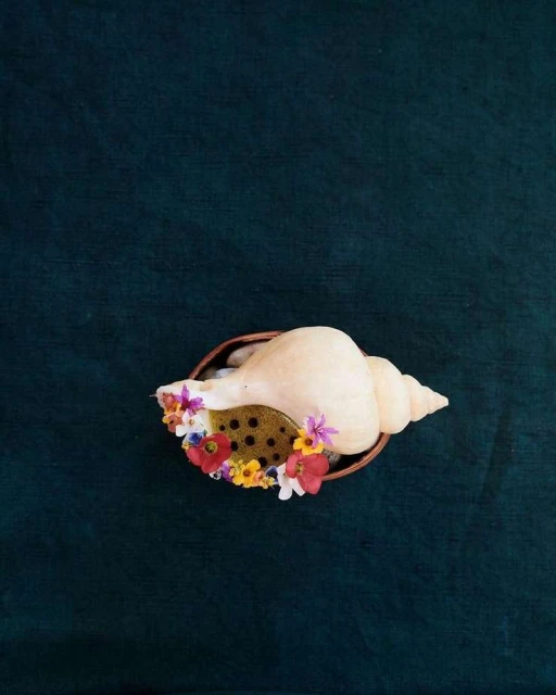 Artistic photo featuring a seashell adorned with colorful flowers, nestled in a brown plate against a dark green fabric backdrop.