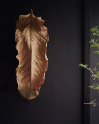 A large dried brown leaf mounted against a dark textured wall next to a slender green branch in a vertical frame.