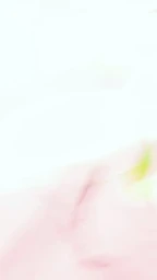 Soft abstract photography featuring blurred pastel pink and white tones captured by Djeneba Aduayom