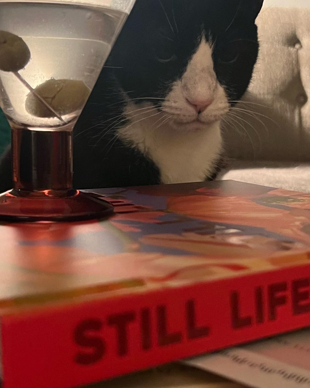 A tuxedo cat sits behind a book and a martini glass with olives, creating a quirky and engaging still life composition.