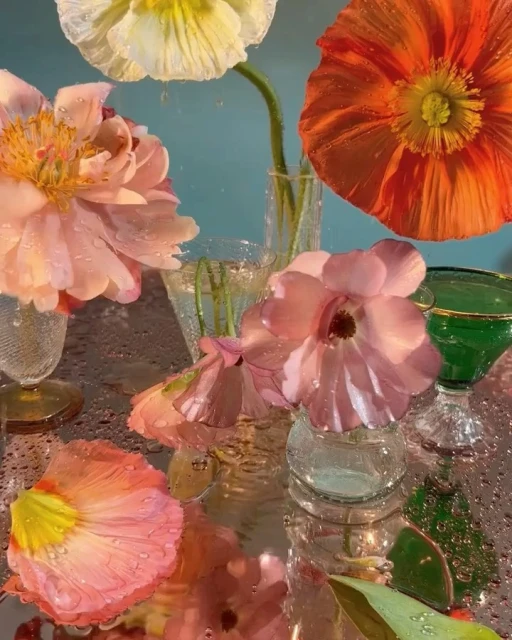 Still life featuring assorted flowers including pink peonies, white and orange poppies, displayed in glass vases on a reflective surface with water droplets.