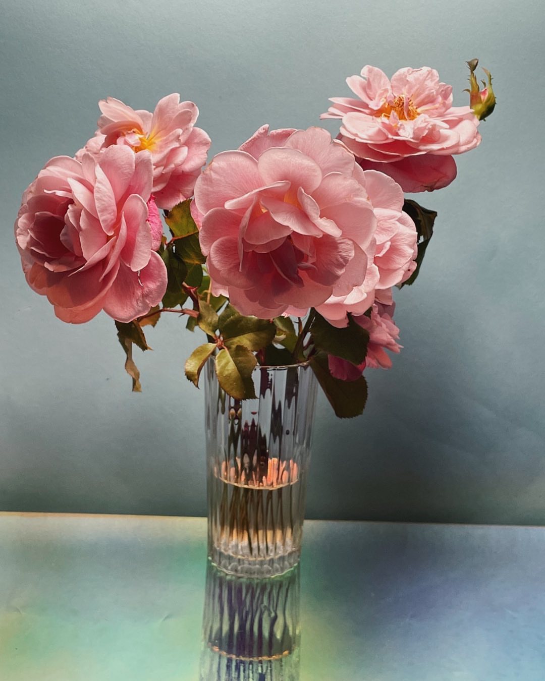 Close-up still life of delicate pink roses in a clear, fluted glass vase against a soft blue backdrop with reflections on a tabletop.