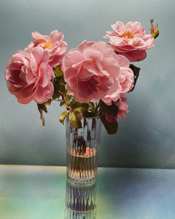 Close-up still life of delicate pink roses in a clear, fluted glass vase against a soft blue backdrop with reflections on a tabletop.