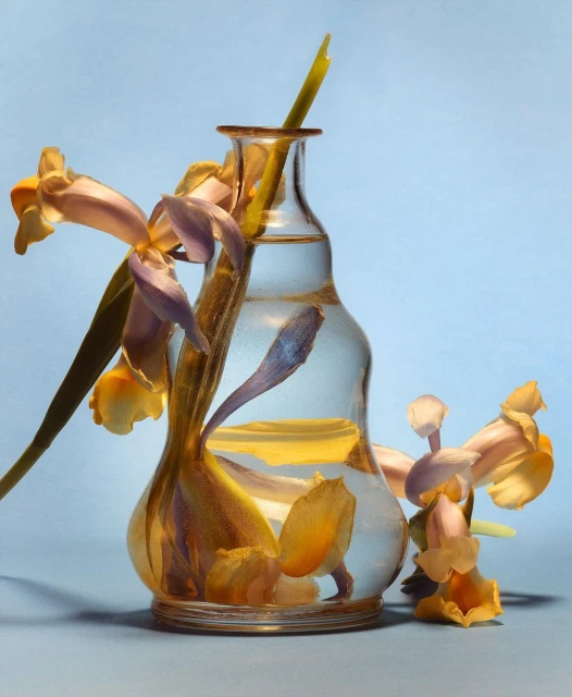Floral arrangement with purple and yellow irises displayed in a transparent glass vase with a blue background, showcasing delicate beauty.