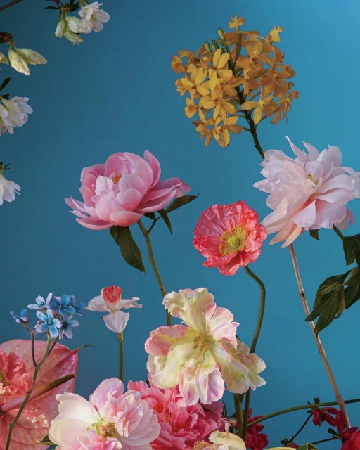 Floral arrangement on a blue background featuring pink peonies, yellow orchids, a red poppy, and other blooms and foliage.