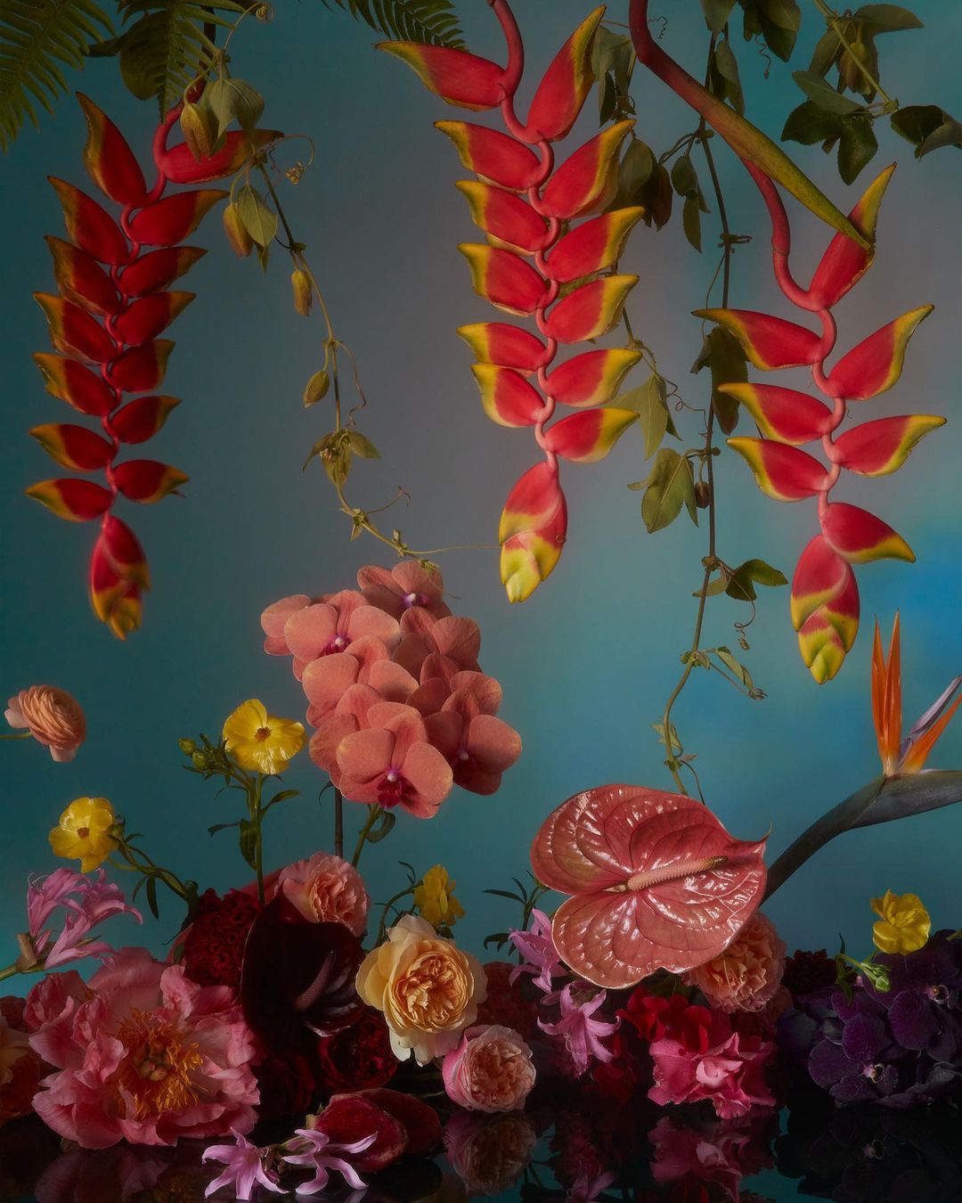 Botanical still life with Heliconia hanging flowers, orchids, roses, and anthuriums arranged in an indoor, studio setting.