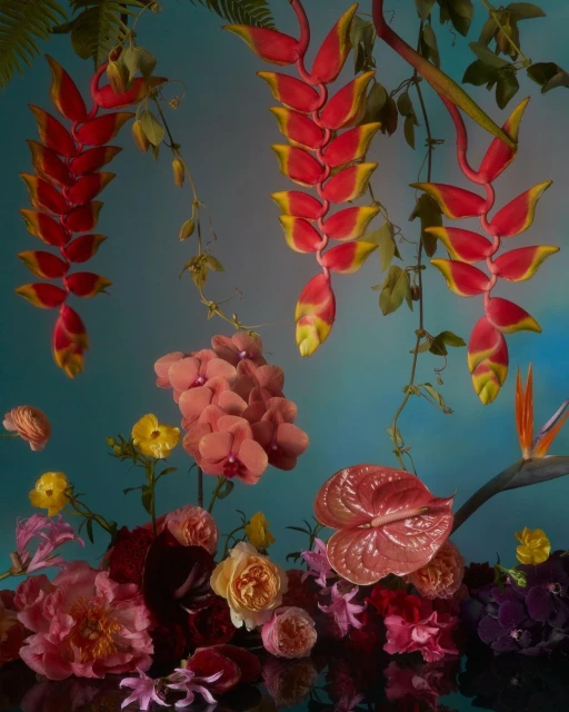 Botanical still life with Heliconia hanging flowers, orchids, roses, and anthuriums arranged in an indoor, studio setting.