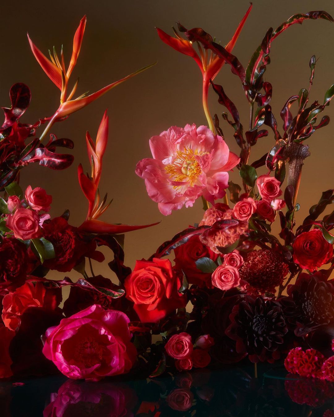 Dramatic floral arrangement on a dark glossy surface featuring roses, peonies, and bird of paradise flowers with reddish-purple foliage.